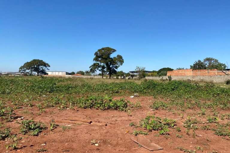 Educação avalia terreno para construção de nova escola