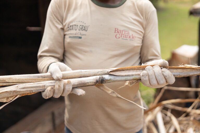 Fazenda Barra Grande tem produção de cana de açúcar mais sustentável e ganha certificação estadual