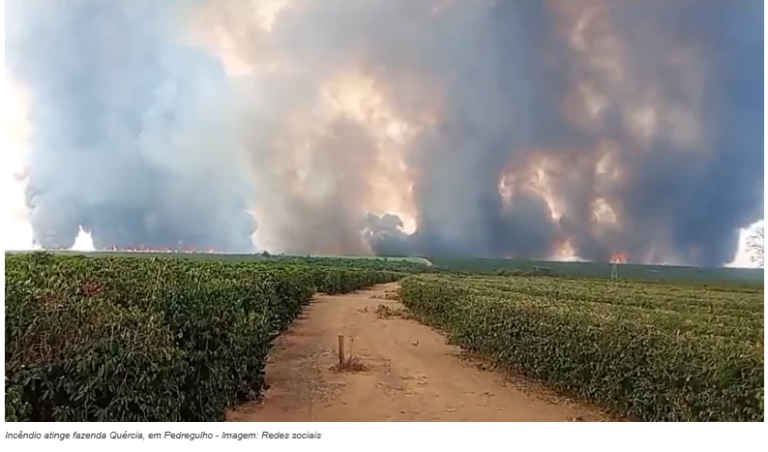 Incêndio atingiu fazenda de ex-governador de São Paulo na região