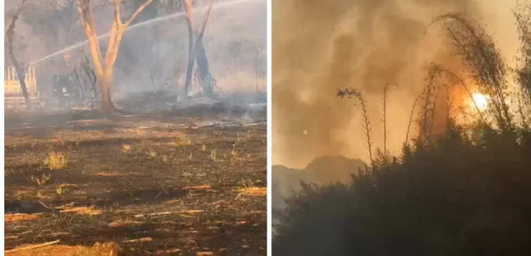 Região de Ribeirão Preto está com novos focos ativos de incêndio